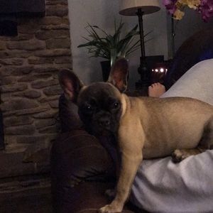 Meet your Posher, Lileena